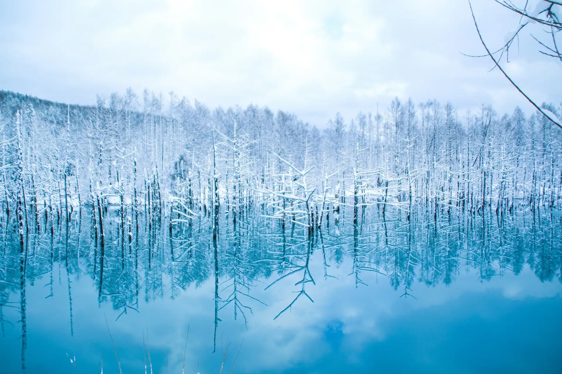Hokkaido's Frosty Retreat: Your Ultimate Guide to a Japanese Winter Escape