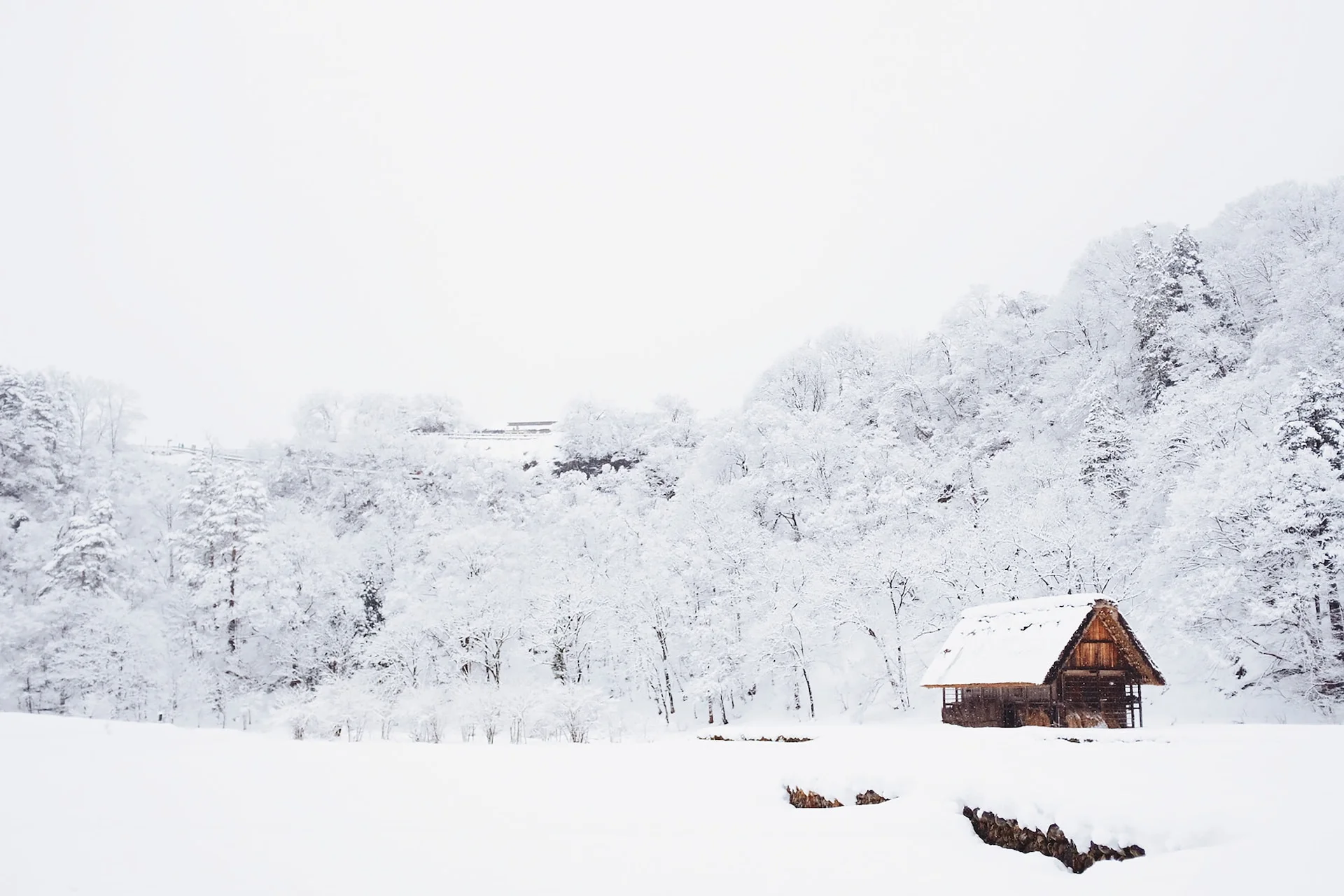 Unlock Japan's Winter Magic: Your Time-Saving Guide