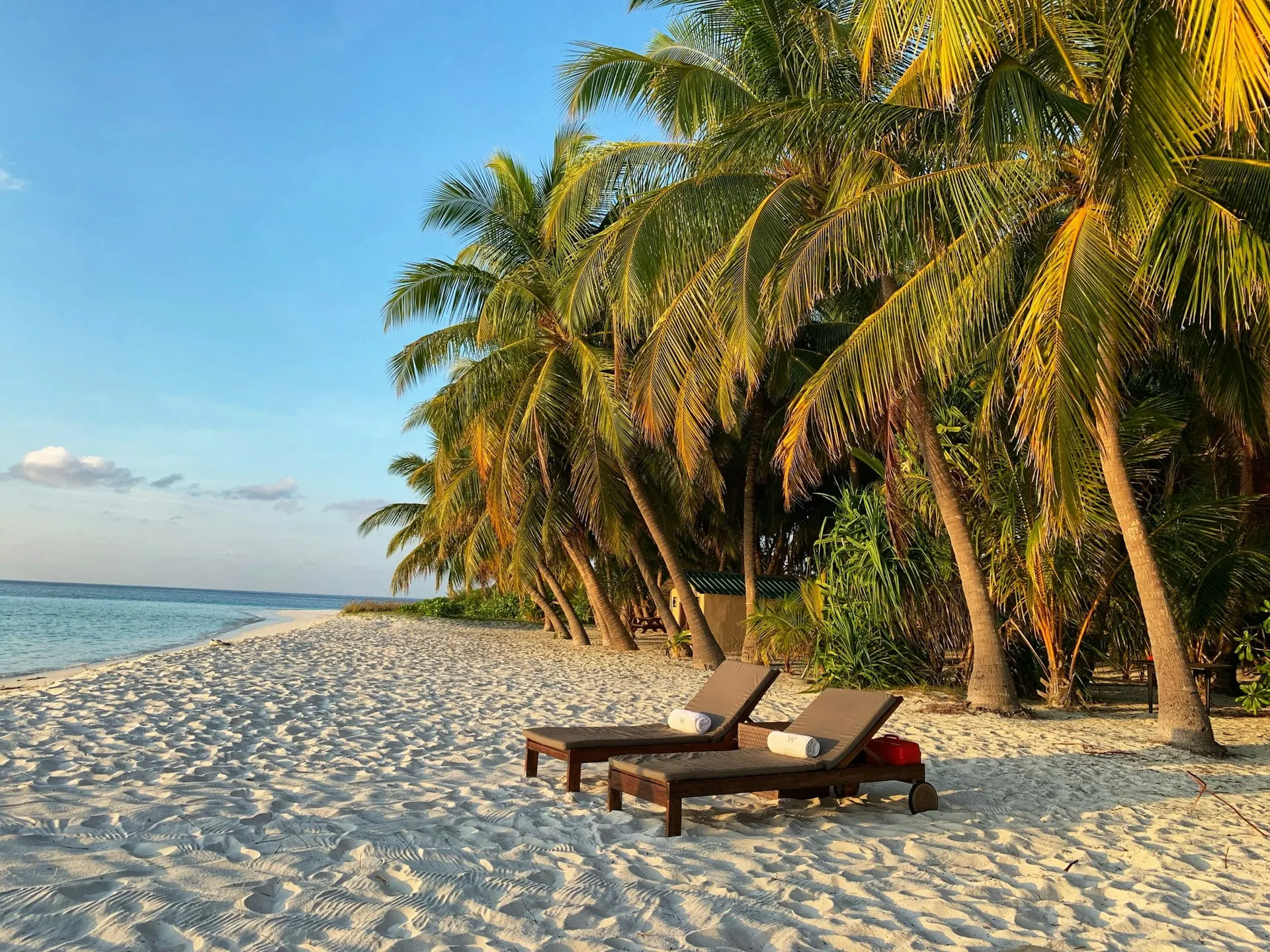 Making Magic in Paradise: Your Ultimate Honeymoon Planning Guide for the Maldives